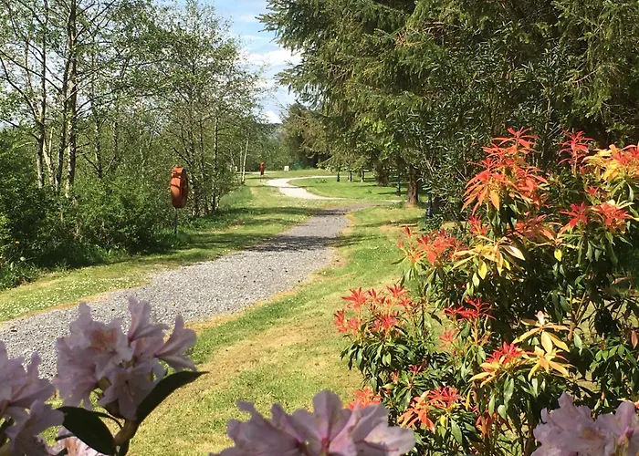 Alpehytte Bernard's Logcabins
